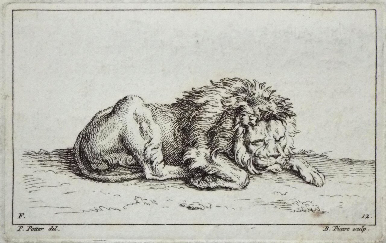 Etching - F. 12. Lion - Picart